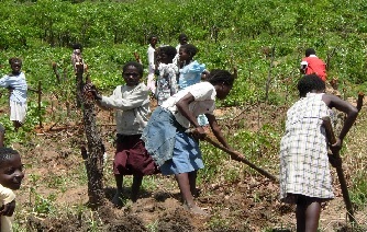School Children Prepare Soil for Tree Planting